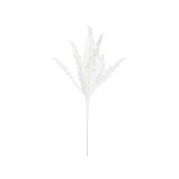 Aloe bianco cm Ø 30x98 min 10