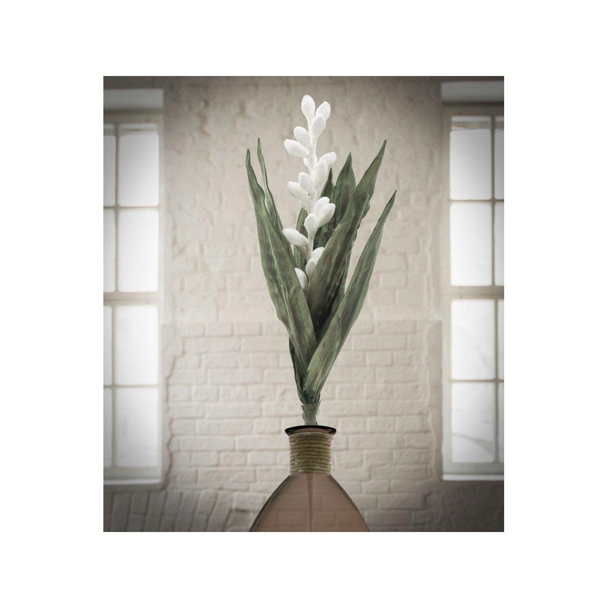 Aloe flower bianco cm Ø 23x93 min 10