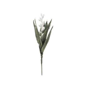 Aloe flower bianco cm Ø 23x93 min 10