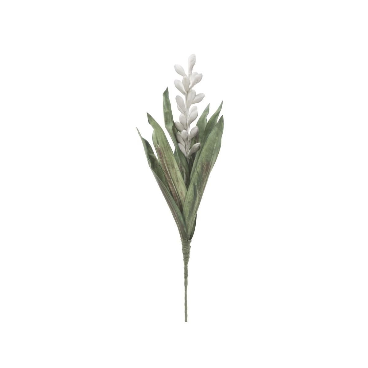 Aloe flower grigio cm Ø 23x93 min 10