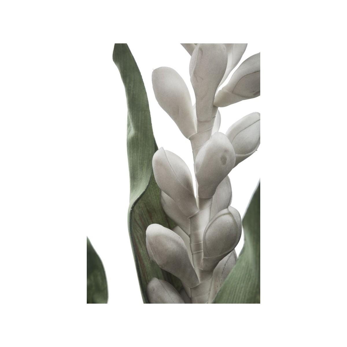 Aloe flower grigio cm Ø 23x93 min 10