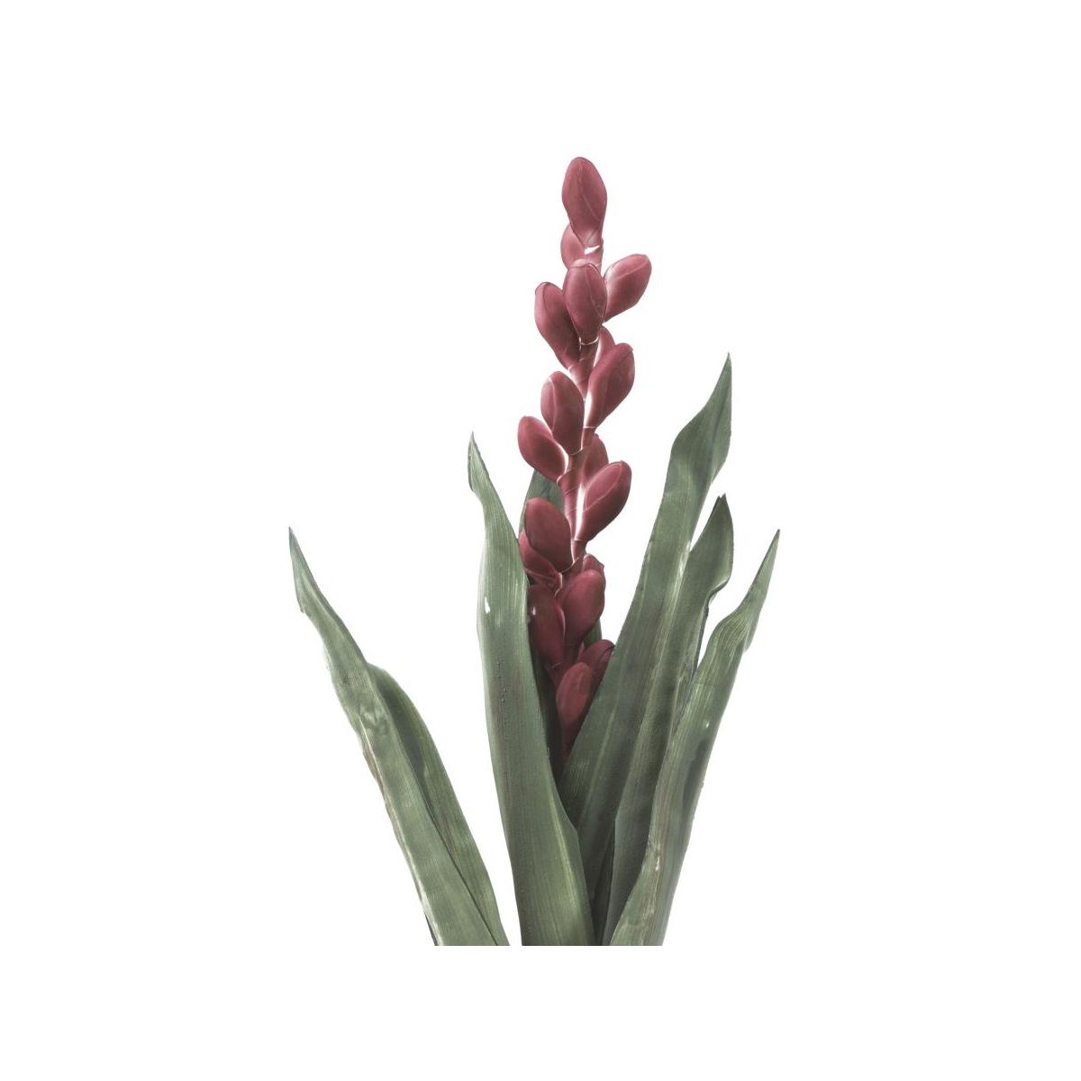 Aloe flower rosa cm Ø 23x93 min 10