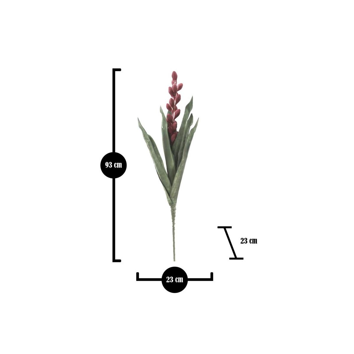 Aloe flower rosa cm Ø 23x93 min 10