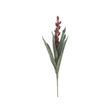 Aloe flower rosa cm Ø 23x93 min 10