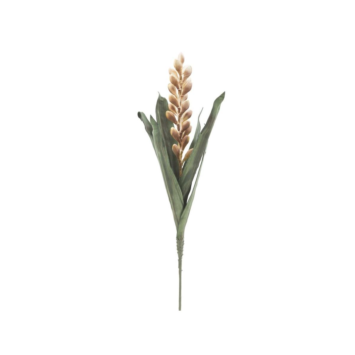 Aloe flower giallo cm Ø 23x93 min 10