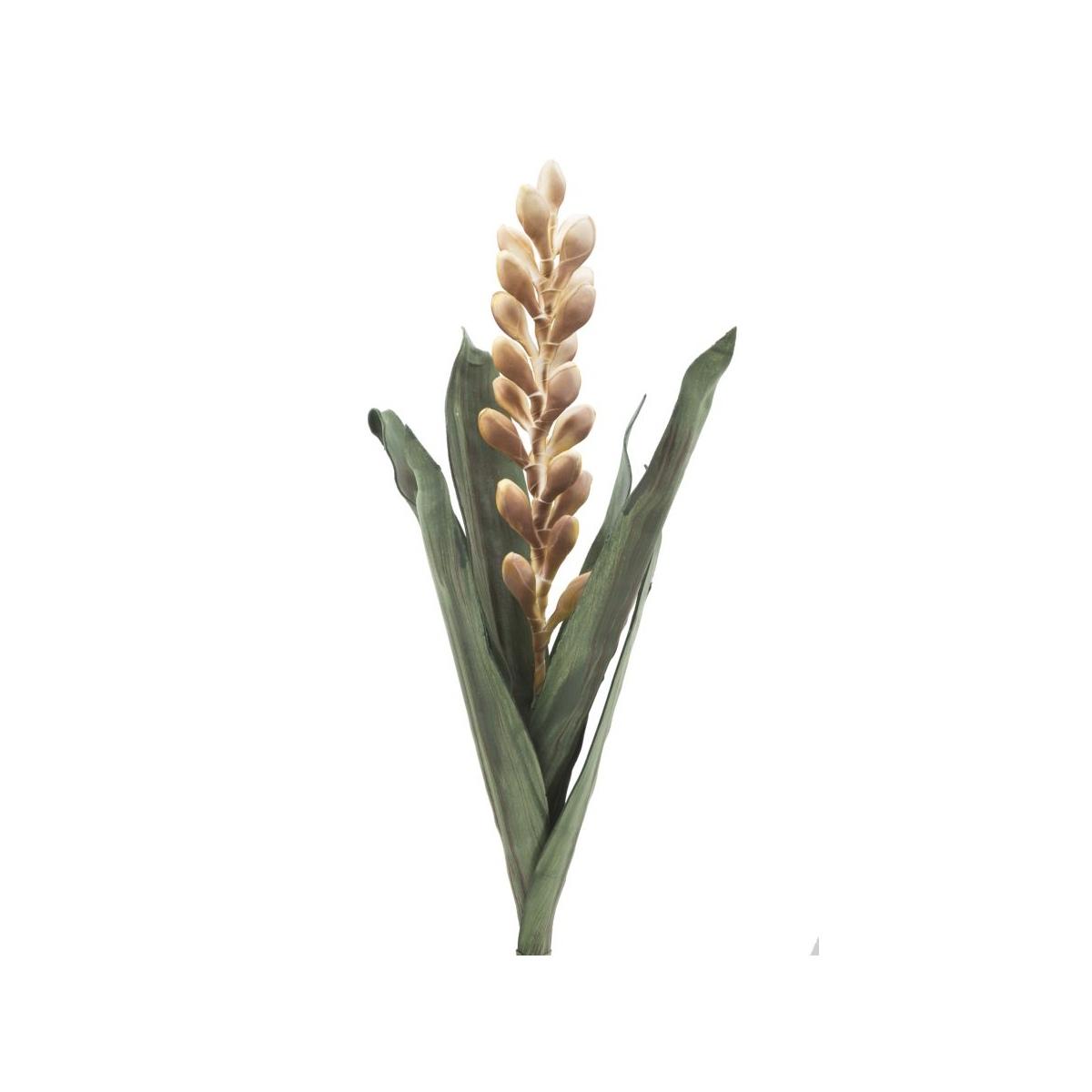 Aloe flower giallo cm Ø 23x93 min 10