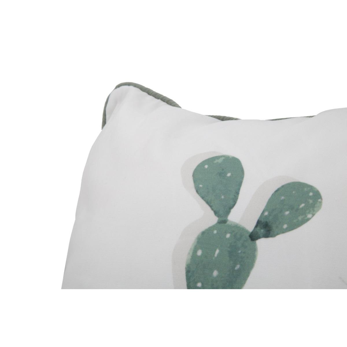 Cuscino cactus -a- cm 45x45 min 2