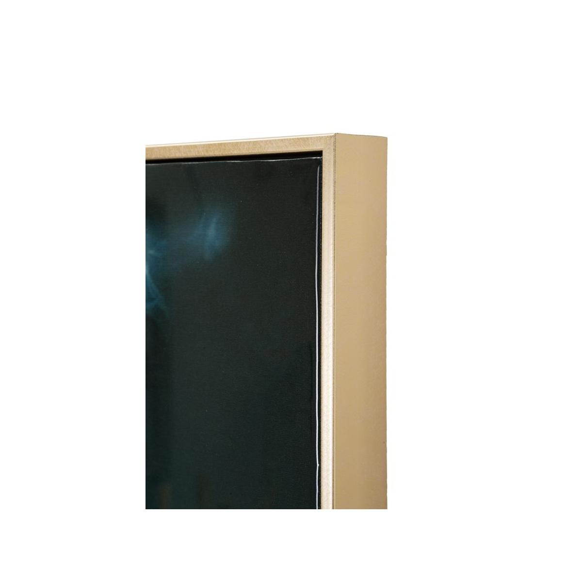 Dipinto su tela laccato kongy -b- c/cornice cm 62x4x92