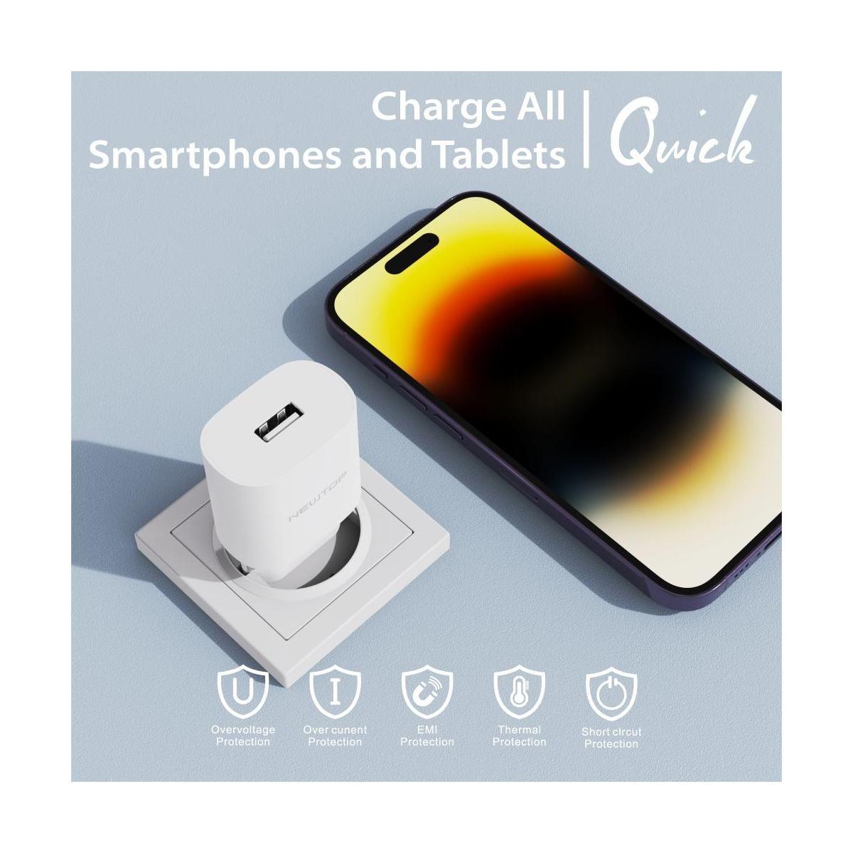 Newtop basic CM30 Caricatore da muro 1 USB 2.1A