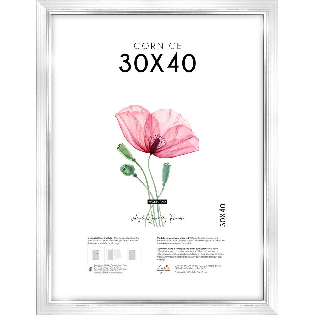 Cornice portafoto White Silver 30x40 cm