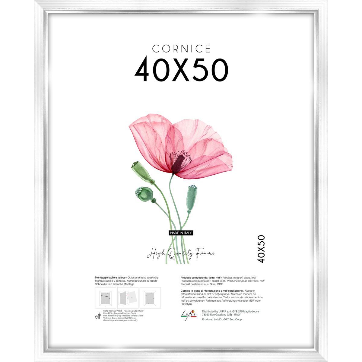 Cornice portafoto White Silver 40x50 cm