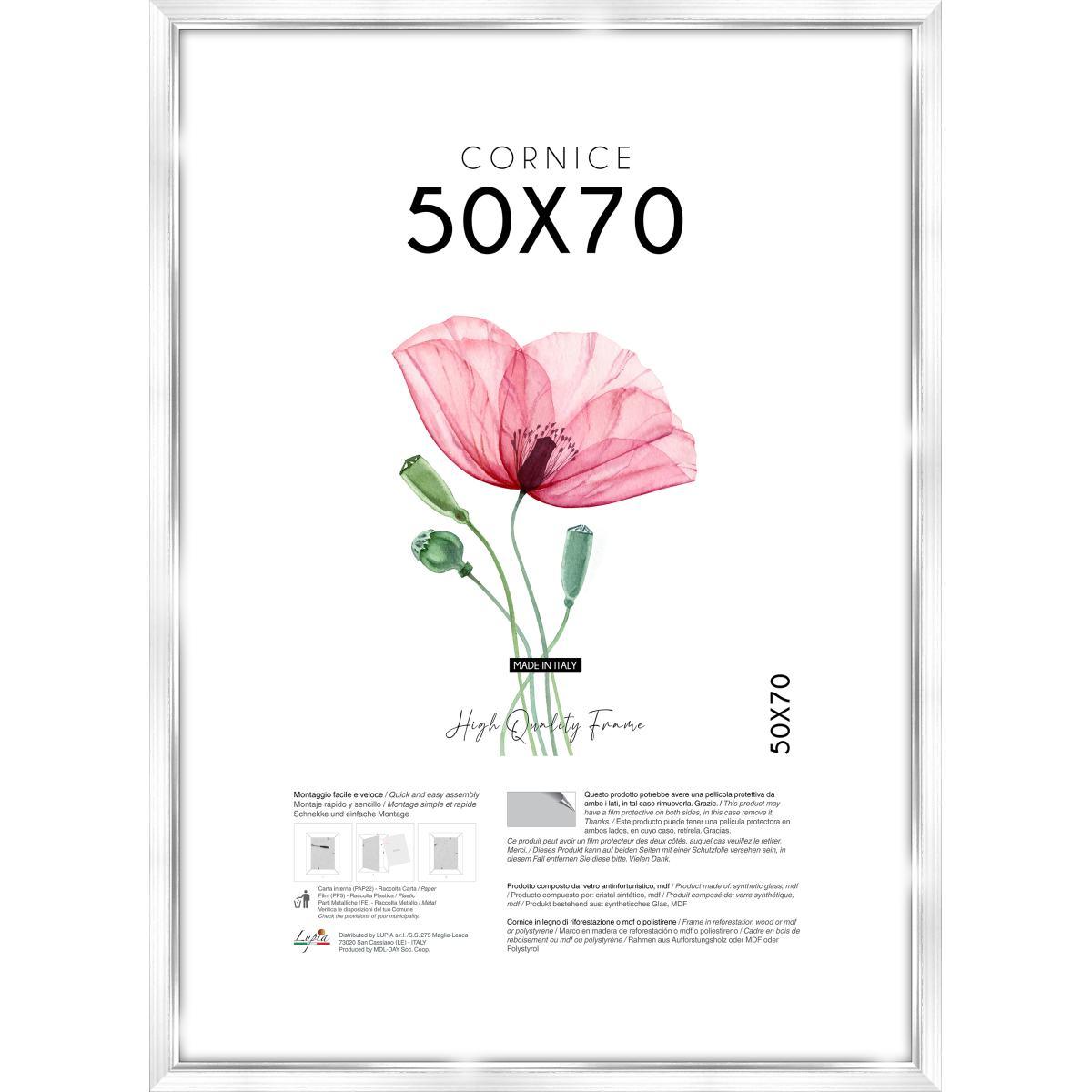 Cornice portafoto White Silver 50x70 cm