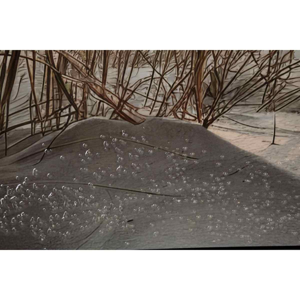 Stampa dipinta su tela laccata beach c/cornice -a- cm 152x4x52