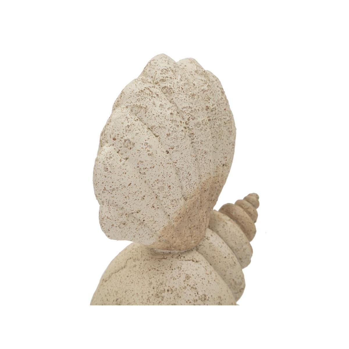 Conchiglia sand cm 17,2x10x30,2