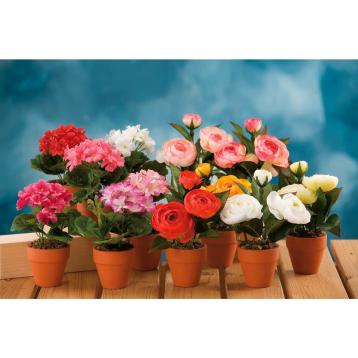 Vaso fiori ran/ger a6c d12xh18