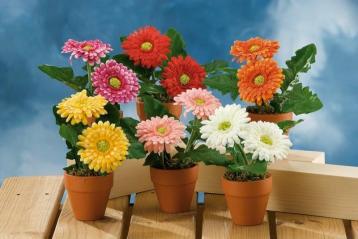 Vaso fiori gerbera a6 d12xh18