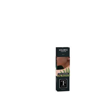 Diffusore di fragranze con midolli 100ml felce e garofano