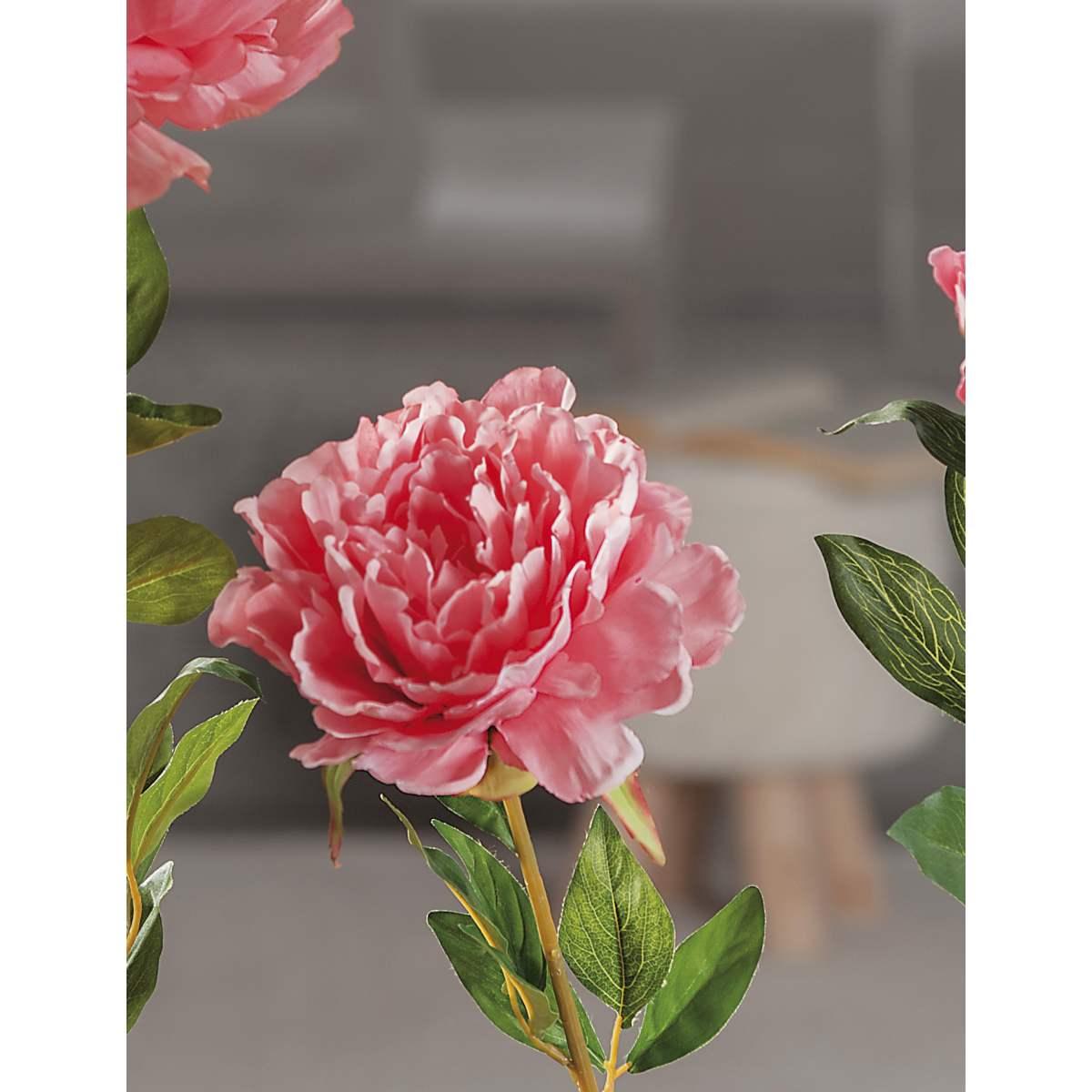 Peonia per decorazioni 85 cm