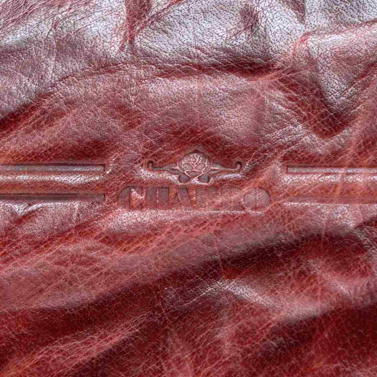 Portafogli donna in pelle icon linea trieste Charro