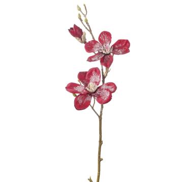 Fiori di magnolia innevati 2 fiori 1 bocciolo cm80