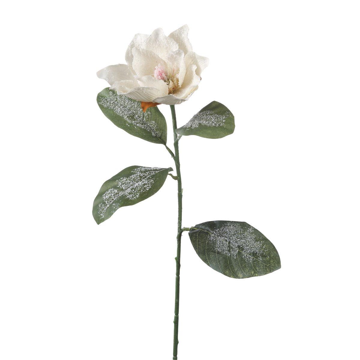 Magnolia innevata per decorazioni natalizie cm68